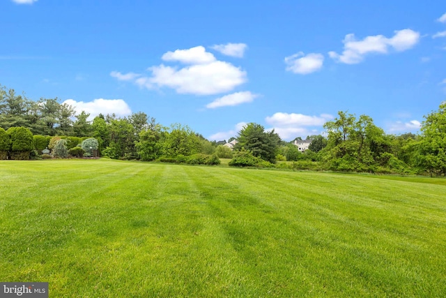11 Candace Ct, Richboro, PA 18954 - view of green lawn