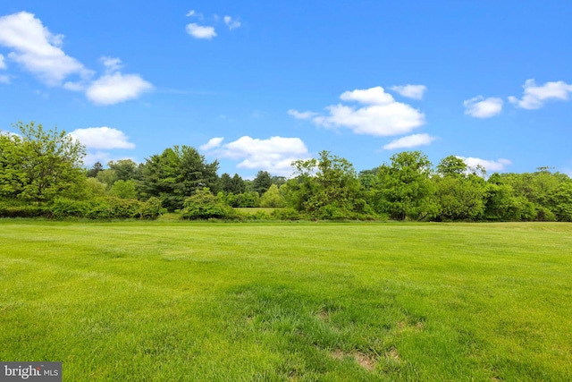 11 Candace Ct, Richboro, PA 18954 - view of undeveloped land