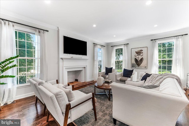 living area with a fireplace, healthy amount of natural light, ornamental molding, baseboards, and dark wood-type flooring