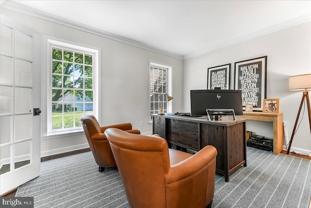 office with carpet flooring, crown molding, plenty of natural light, and baseboards
