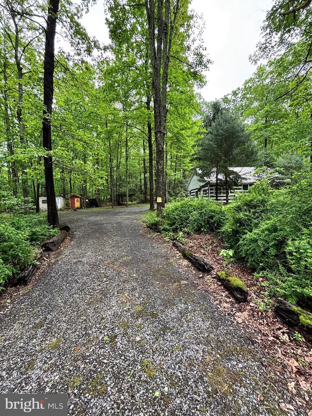 5580 Back Hollow Rd, Blain, PA 17006 - view of dirt / gravel driveway