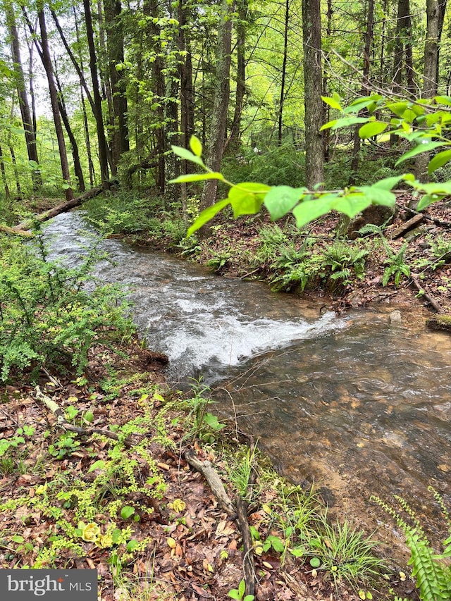 5580 Back Hollow Rd, Blain, PA 17006 - view of nature
