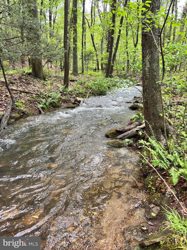 5580 Back Hollow Rd, Blain, PA 17006 - view of undeveloped land