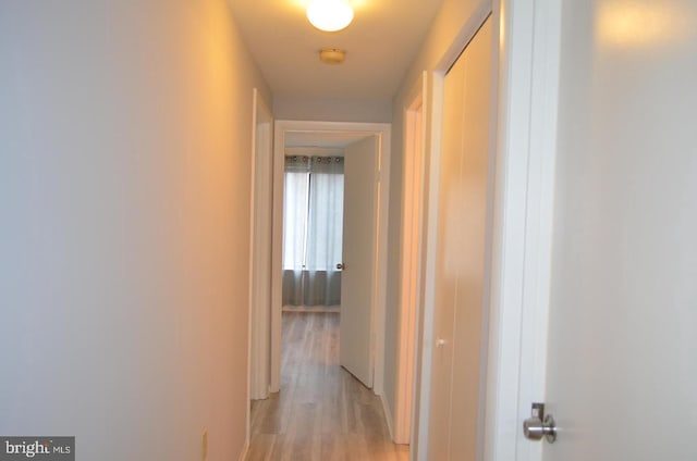 18050 Chalet Dr Unit 14-303, Germantown, MD 20874 - corridor with light wood-style flooring