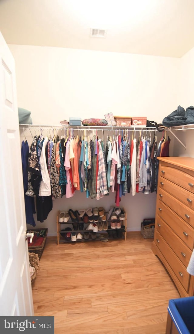 spacious closet with light wood-style floors