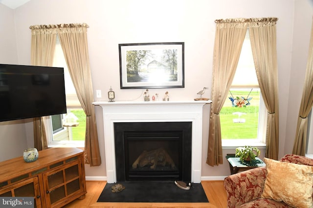 detailed view of wood finished floors and a fireplace with flush hearth