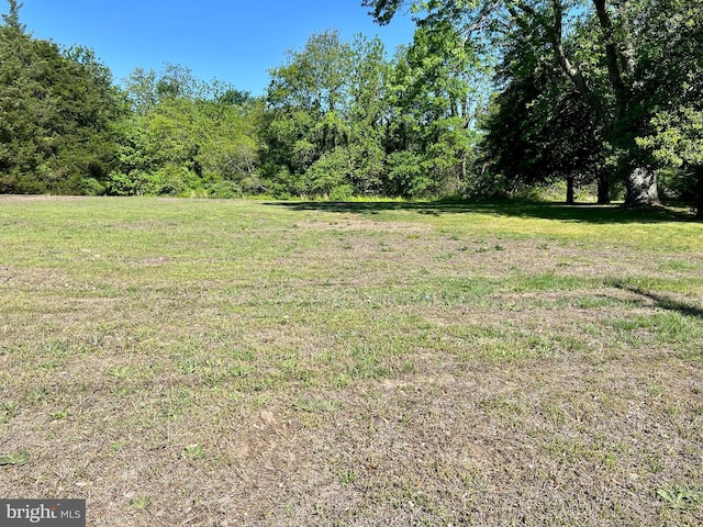 view of green lawn