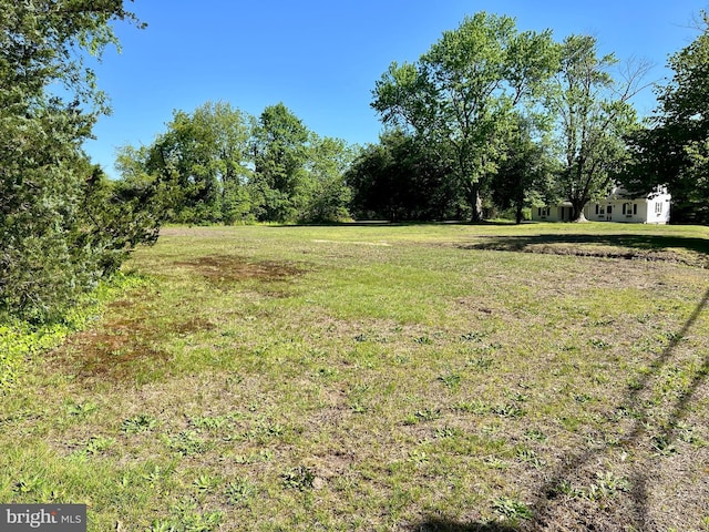 view of grassy yard