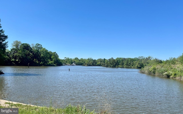 water view featuring a heavily wooded area