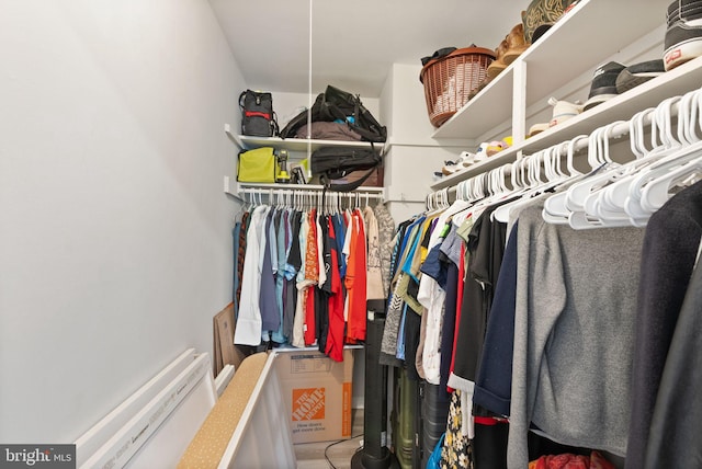 7 Canterbury Sq Unit 401, Alexandria, VA 22304 - view of walk in closet