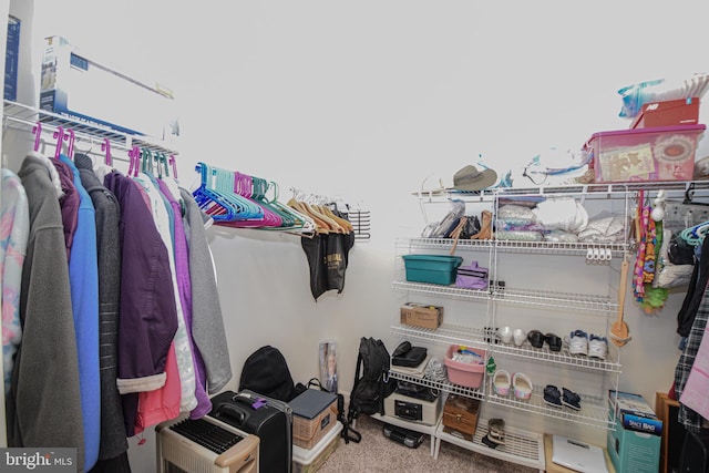 130 Steamboat Ct, North East, MD 21901 - walk in closet featuring carpet floors
