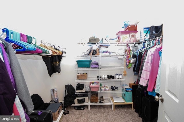 130 Steamboat Ct, North East, MD 21901 - spacious closet featuring carpet floors