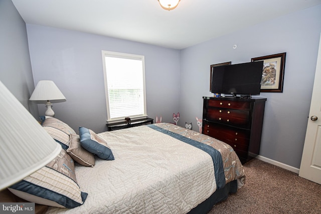 130 Steamboat Ct, North East, MD 21901 - bedroom with carpet and baseboards