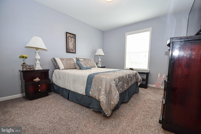 130 Steamboat Ct, North East, MD 21901 - bedroom with light carpet and baseboards