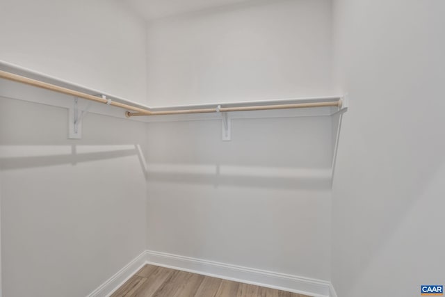 99A Laconia Ln, Charlottesville, VA 22911 - walk in closet with light wood-type flooring