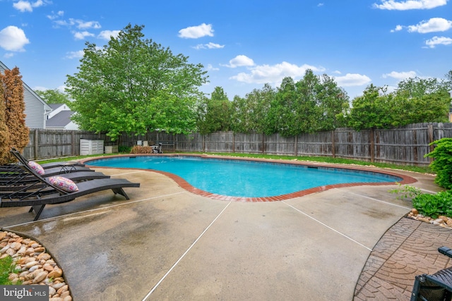 view of swimming pool featuring a patio and a fenced backyard