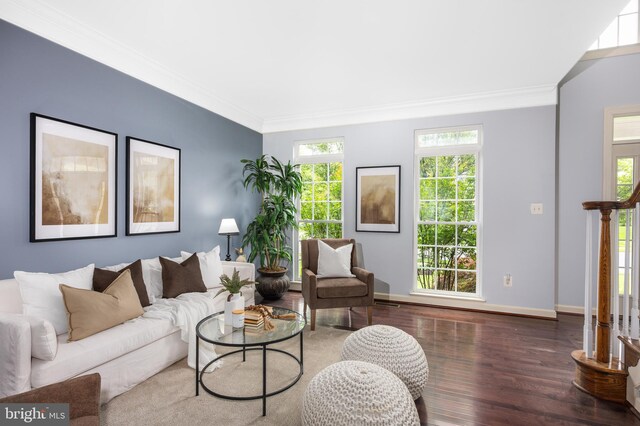615 Pearl Point Ct, Millersville, MD 21108 - living area with wood finished floors, ornamental molding, and baseboards