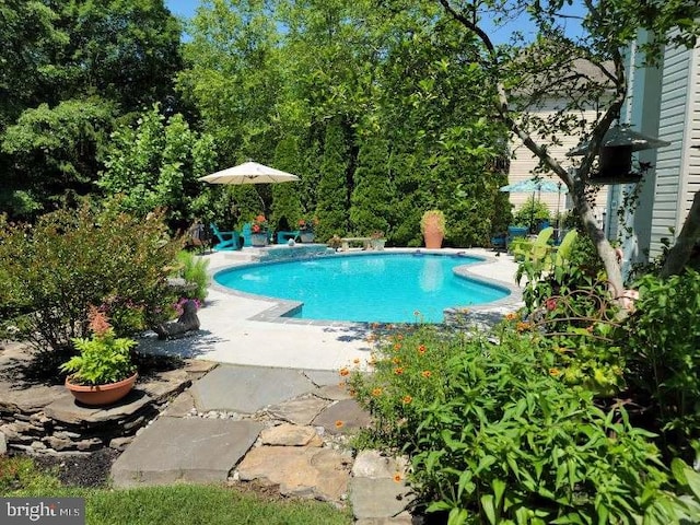 615 Pearl Point Ct, Millersville, MD 21108 - outdoor pool featuring a patio