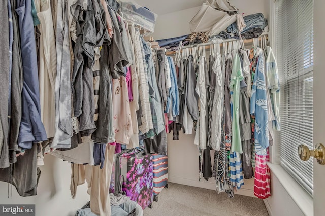 2452 Tuckahoe Ct, Waldorf, MD 20601 - walk in closet with carpet flooring