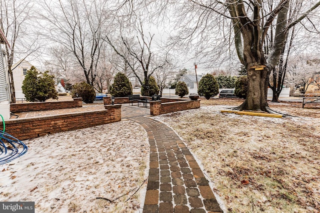 view of yard with a patio