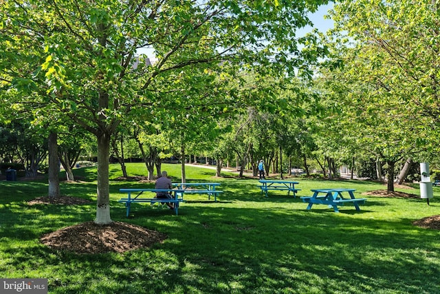 1300 Crystal Dr Unit 1408S, Arlington, VA 22202 - surrounding community with a lawn