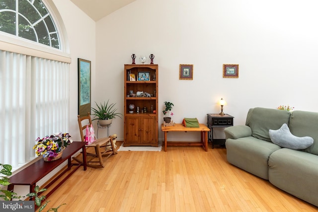 31142 Mills Chase Dr Unit 9, Lewes, DE 19958 - living area with light wood-type flooring, high vaulted ceiling, and baseboards