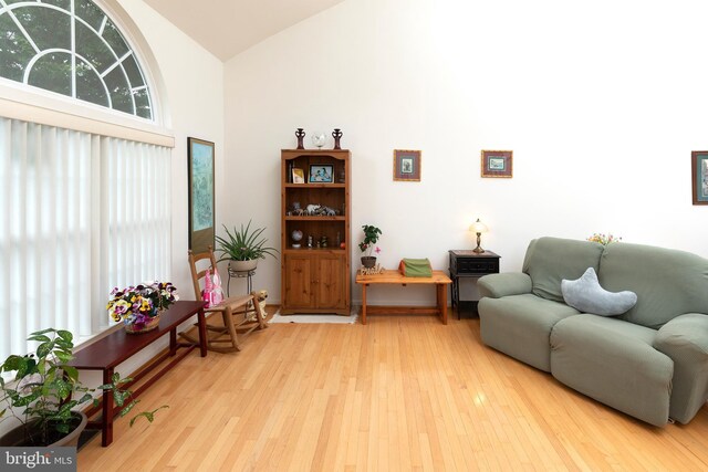 31142 Mills Chase Dr Unit 9, Lewes, DE 19958 - living area with high vaulted ceiling and light wood-style flooring