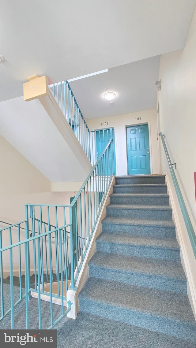 stairway featuring carpet floors