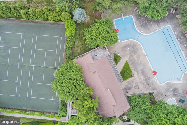 bird's eye view