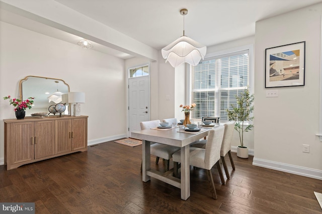 dining room with baseboards and dark wood-type flooring