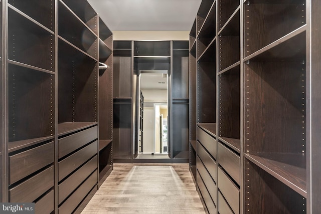 walk in closet featuring wood finished floors