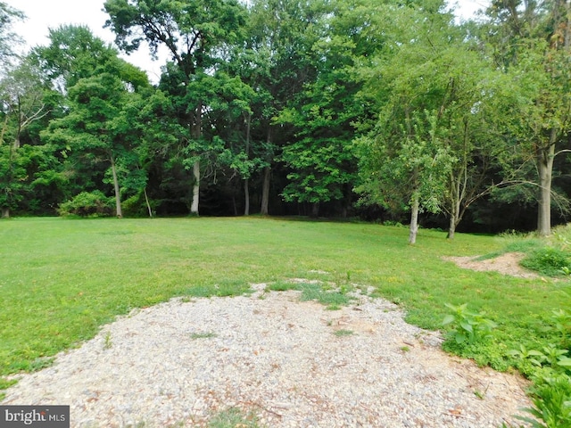 399REAR Beck Mill Rd, Hanover, PA 17331 - view of green lawn