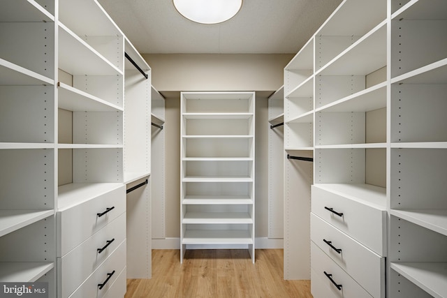 walk in closet featuring light wood-style floors