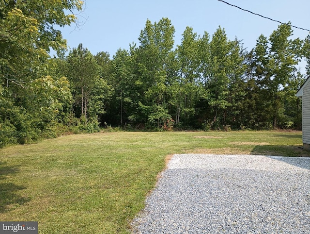 4302 Messick Rd, Rhodesdale, MD 21659 - view of grassy yard