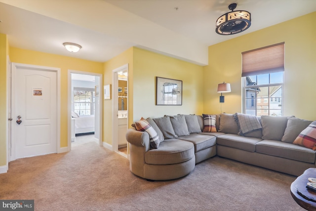 801 Skippers Ln, Annapolis, MD 21401 - living area with carpet floors and baseboards
