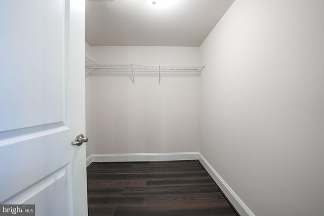 walk in closet featuring dark wood-style floors