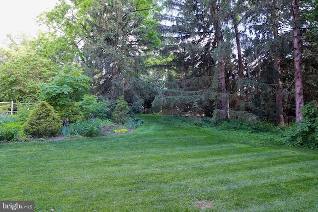 13209 Briarcliff Dr, Hagerstown, MD 21742 - view of green lawn featuring a wooded view