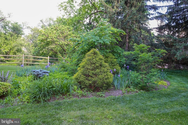 13209 Briarcliff Dr, Hagerstown, MD 21742 - view of yard