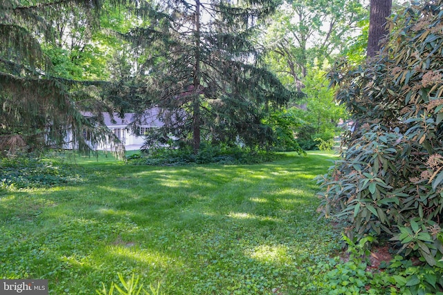 13209 Briarcliff Dr, Hagerstown, MD 21742 - view of green lawn