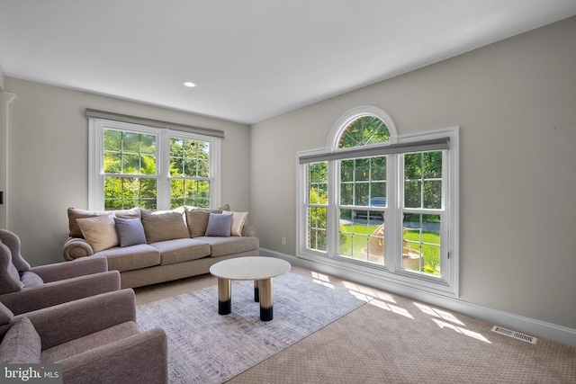 410 Metropolitan Blvd, Pasadena, MD 21122 - carpeted living area with plenty of natural light and baseboards