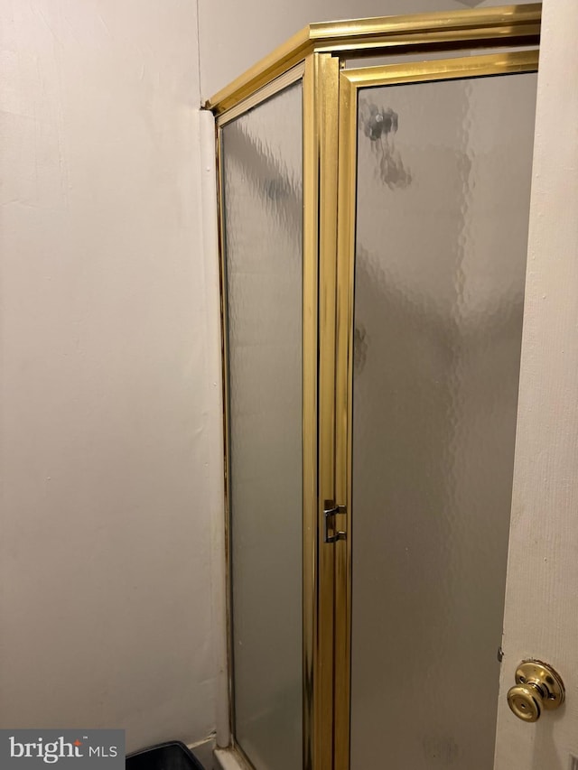 bathroom featuring a shower stall