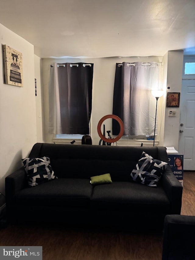 living room with wood finished floors