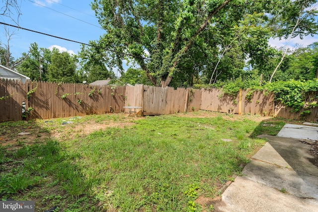 3322 Ely Pl SE, Washington, DC 20019 - view of yard