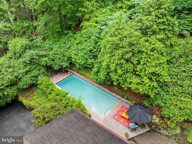 bird's eye view