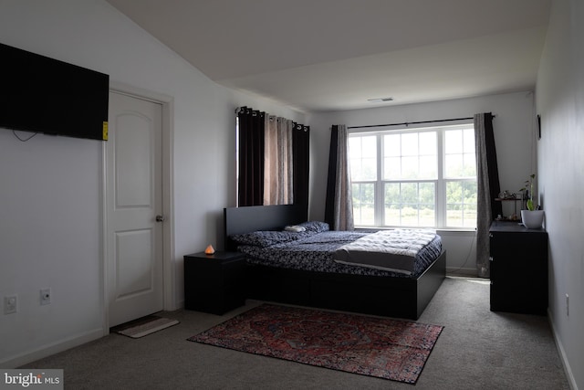 847 Lissicasey Loop, Middletown, DE 19709 - bedroom featuring carpet