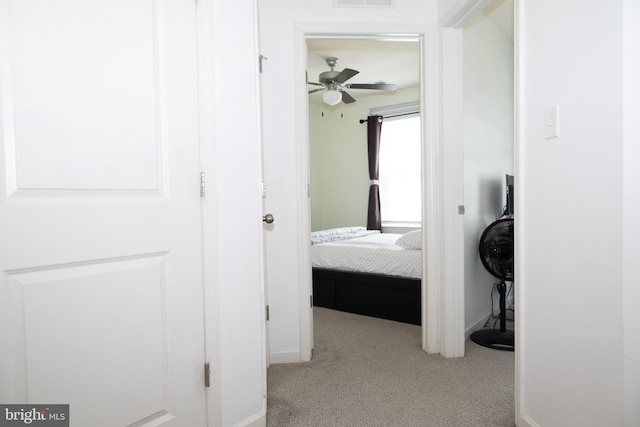 847 Lissicasey Loop, Middletown, DE 19709 - hallway with carpet and baseboards