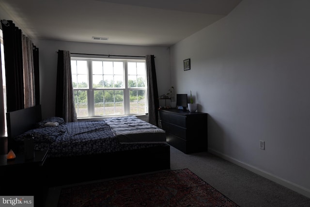 847 Lissicasey Loop, Middletown, DE 19709 - bedroom with carpet flooring and baseboards