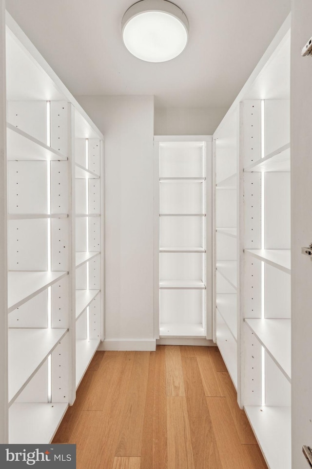 604 S Washington Sq Unit 2917, Philadelphia, PA 19106 - walk in closet with light wood-style flooring