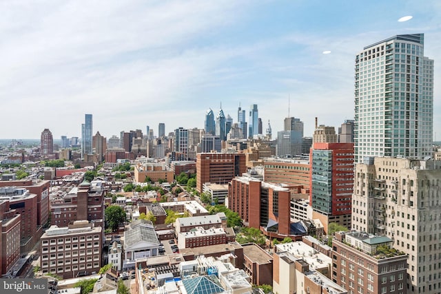 604 S Washington Sq Unit 2917, Philadelphia, PA 19106 - view of city skyline