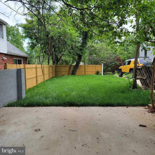 3608 Upshur St, Brentwood, MD 20722 - view of yard